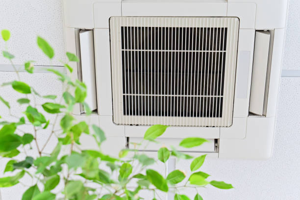 Best Emergency Air Duct Cleaning  in USA